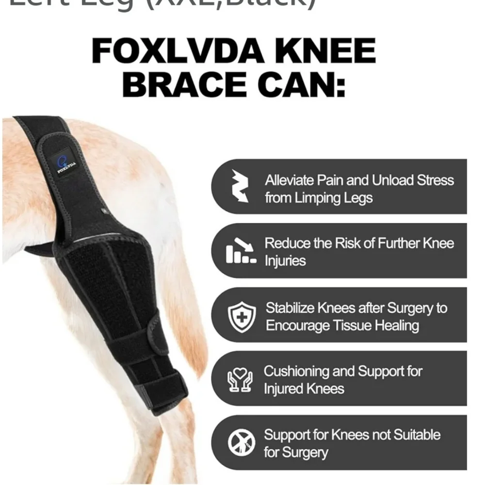 Foxlvda Dog Knee Brace Back Right Leg Size M